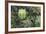 A Birds-Eye-View of Different Shades of Green from Trees Making Up the Forest-Stacy Bass-Framed Photographic Print