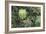 A Birds-Eye-View of Different Shades of Green from Trees Making Up the Forest-Stacy Bass-Framed Photographic Print