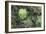 A Birds-Eye-View of Different Shades of Green from Trees Making Up the Forest-Stacy Bass-Framed Photographic Print