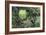 A Birds-Eye-View of Different Shades of Green from Trees Making Up the Forest-Stacy Bass-Framed Photographic Print