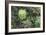 A Birds-Eye-View of Different Shades of Green from Trees Making Up the Forest-Stacy Bass-Framed Photographic Print