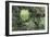 A Birds-Eye-View of Different Shades of Green from Trees Making Up the Forest-Stacy Bass-Framed Photographic Print