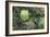 A Birds-Eye-View of Different Shades of Green from Trees Making Up the Forest-Stacy Bass-Framed Photographic Print