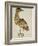 A Bittern-Christopher Atkinson-Framed Giclee Print