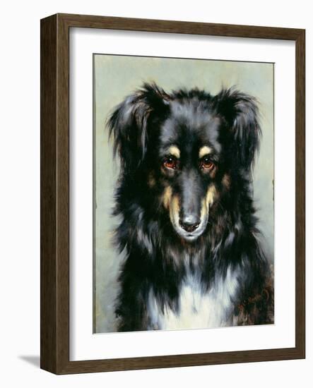 A Black and Tan Collie, 1890-Robert Morley-Framed Giclee Print