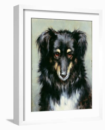 A Black and Tan Collie, 1890-Robert Morley-Framed Giclee Print