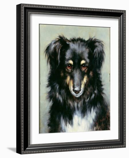 A Black and Tan Collie, 1890-Robert Morley-Framed Giclee Print