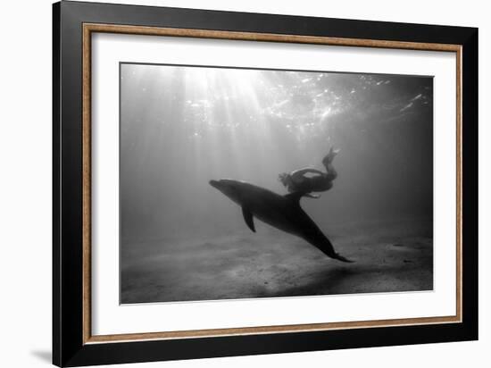 A Black and White Image of a Bottlenose Dolphin and Snorkeller Interacting Contre-Jour-Paul Springett-Framed Photographic Print