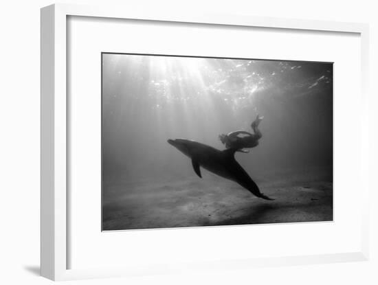 A Black and White Image of a Bottlenose Dolphin and Snorkeller Interacting Contre-Jour-Paul Springett-Framed Photographic Print