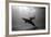 A Black and White Image of a Bottlenose Dolphin and Snorkeller Interacting Contre-Jour-Paul Springett-Framed Photographic Print