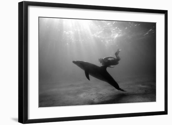 A Black and White Image of a Bottlenose Dolphin and Snorkeller Interacting Contre-Jour-Paul Springett-Framed Photographic Print