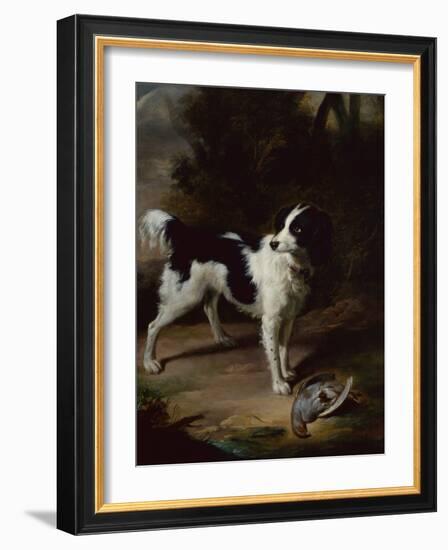 A Black and White Springer Spaniel with a Dead Partridge in a Landscape-John Wootton-Framed Giclee Print