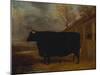 A Black Bull Standing by a Cowshed, an Extensive Landscape Beyond-James Pollard-Mounted Giclee Print