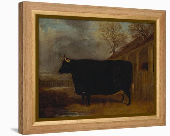 A Black Bull Standing by a Cowshed, an Extensive Landscape Beyond-James Pollard-Framed Premier Image Canvas