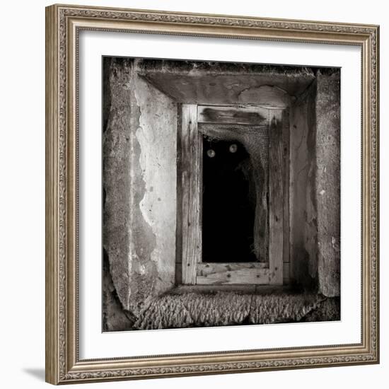 A Black Cat Inside a Window-Luis Beltran-Framed Photographic Print