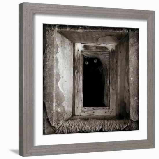 A Black Cat Inside a Window-Luis Beltran-Framed Photographic Print