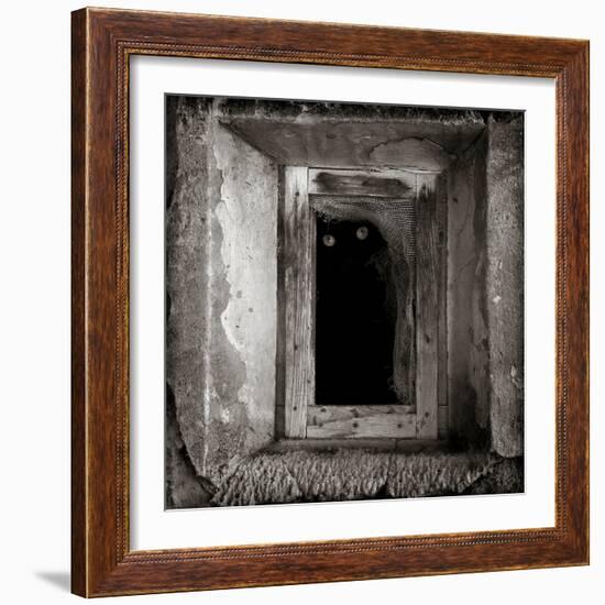 A Black Cat Inside a Window-Luis Beltran-Framed Photographic Print