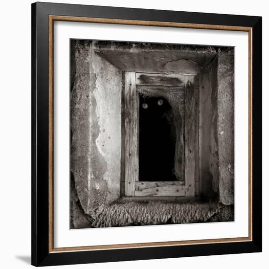 A Black Cat Inside a Window-Luis Beltran-Framed Photographic Print