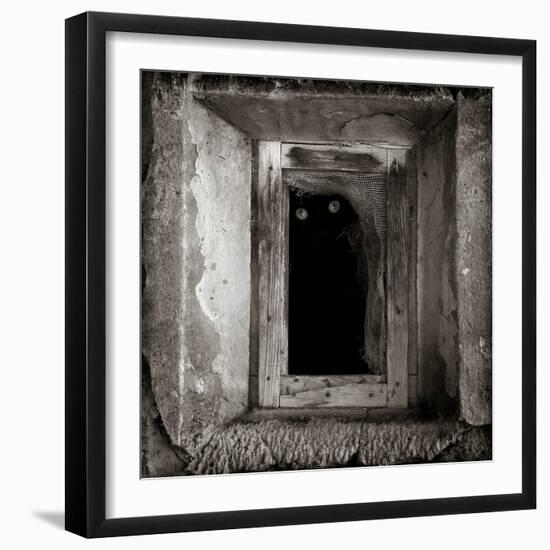 A Black Cat Inside a Window-Luis Beltran-Framed Photographic Print