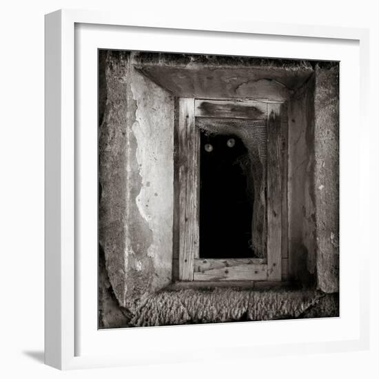 A Black Cat Inside a Window-Luis Beltran-Framed Photographic Print