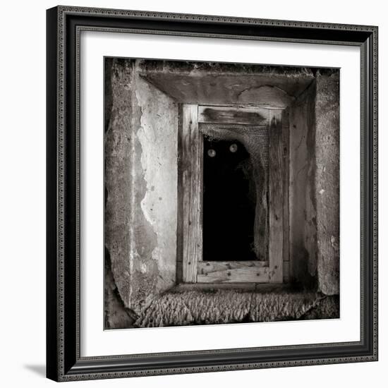 A Black Cat Inside a Window-Luis Beltran-Framed Photographic Print