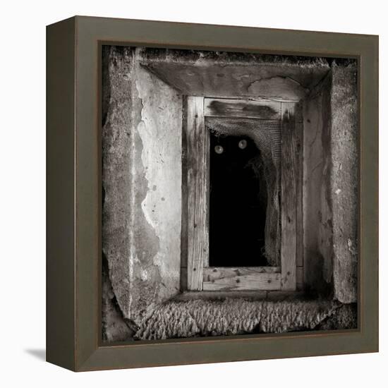 A Black Cat Inside a Window-Luis Beltran-Framed Premier Image Canvas