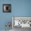 A Black Cat Inside a Window-Luis Beltran-Framed Premier Image Canvas displayed on a wall