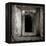 A Black Cat Inside a Window-Luis Beltran-Framed Premier Image Canvas