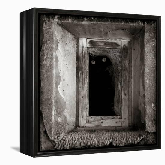 A Black Cat Inside a Window-Luis Beltran-Framed Premier Image Canvas