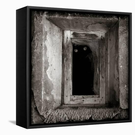 A Black Cat Inside a Window-Luis Beltran-Framed Premier Image Canvas