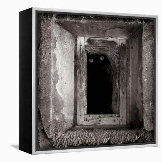 A Black Cat Inside a Window-Luis Beltran-Framed Premier Image Canvas