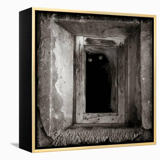 A Black Cat Inside a Window-Luis Beltran-Framed Premier Image Canvas