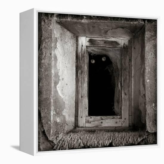 A Black Cat Inside a Window-Luis Beltran-Framed Premier Image Canvas