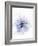 A Black Cumin Flower-Barbara Lutterbeck-Framed Photographic Print