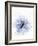 A Black Cumin Flower-Barbara Lutterbeck-Framed Photographic Print