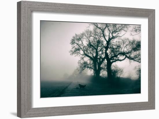 A Black Dog in a Field-Tim Kahane-Framed Photographic Print