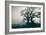 A Black Dog in a Field-Tim Kahane-Framed Photographic Print