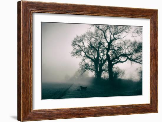 A Black Dog in a Field-Tim Kahane-Framed Photographic Print