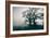 A Black Dog in a Field-Tim Kahane-Framed Photographic Print