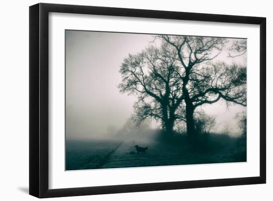 A Black Dog in a Field-Tim Kahane-Framed Photographic Print