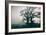 A Black Dog in a Field-Tim Kahane-Framed Photographic Print