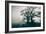 A Black Dog in a Field-Tim Kahane-Framed Photographic Print