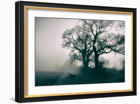 A Black Dog in a Field-Tim Kahane-Framed Photographic Print