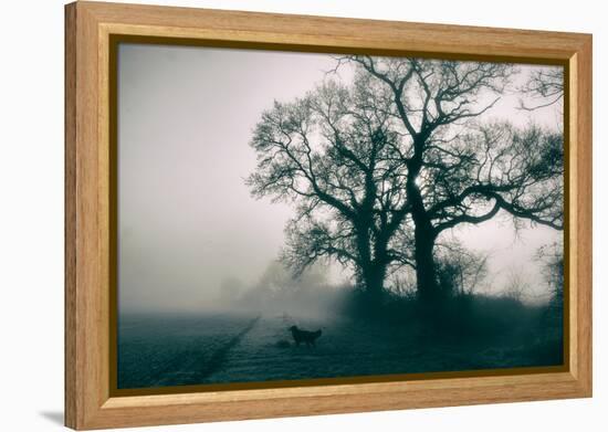 A Black Dog in a Field-Tim Kahane-Framed Premier Image Canvas