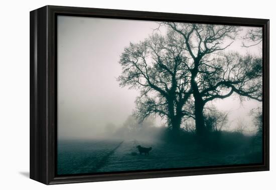 A Black Dog in a Field-Tim Kahane-Framed Premier Image Canvas