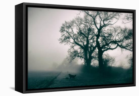 A Black Dog in a Field-Tim Kahane-Framed Premier Image Canvas