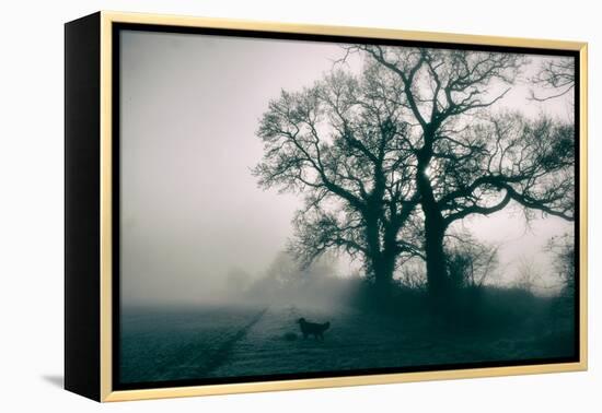 A Black Dog in a Field-Tim Kahane-Framed Premier Image Canvas