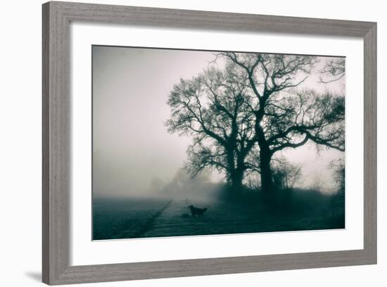 A Black Dog in a Field-Tim Kahane-Framed Photographic Print