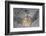 A Black-Finned Snake Eel Pokes its Head Out of a Sandy Seafloor-Stocktrek Images-Framed Photographic Print