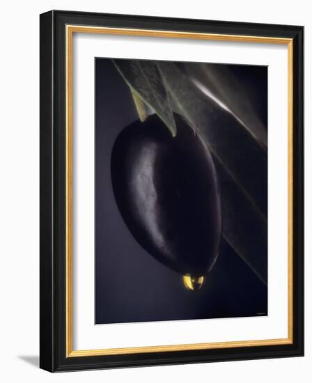 A Black Olive on a Toothpick, Olive Oil-Jo Van Den Berg-Framed Photographic Print